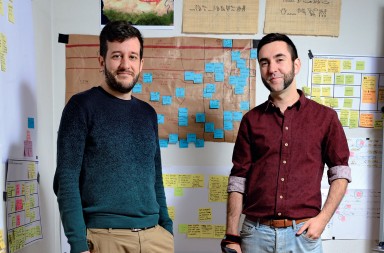 Como dar correctamente el análisis kala a los huevos de las lombrices