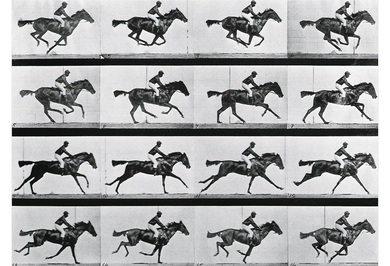 historia del caballo trote