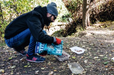 Los amigos ‘oficiales’ de los gatos