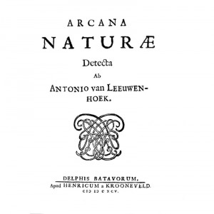 naturae espermatozoides