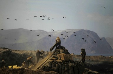 El guano: un negocio muy sucio