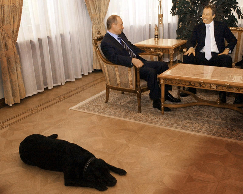 Vladimir Putin
