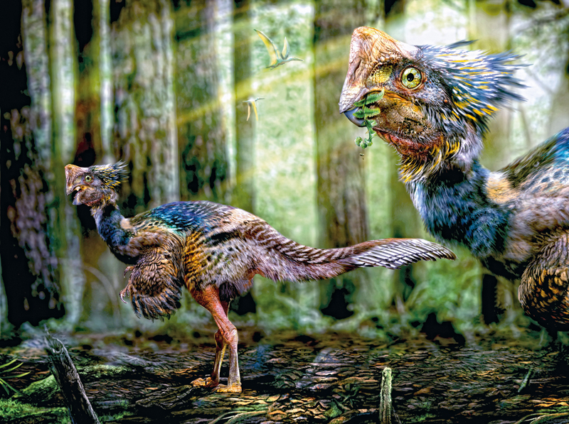 dinosaurios conocer naturaleza