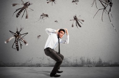 ¿Vuelven las plagas?