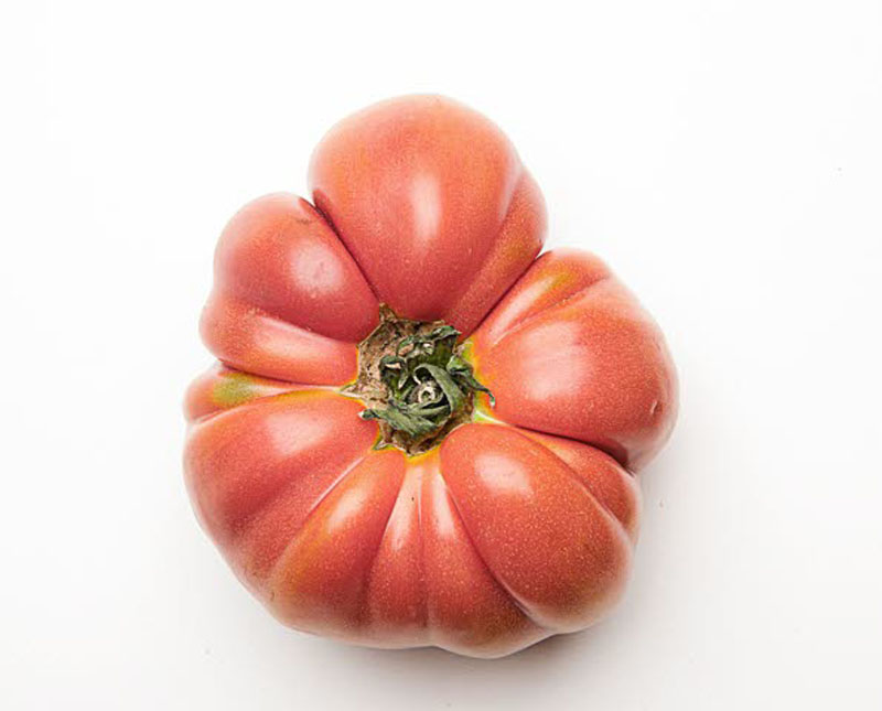 estilo, gourmet, tomates, tomatologia, cocina, tipos, xlsemanal