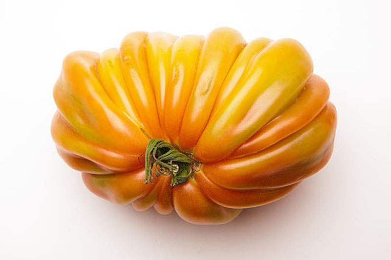 estilo, gourmet, tomates, tomatologia, cocina, tipos, xlsemanal