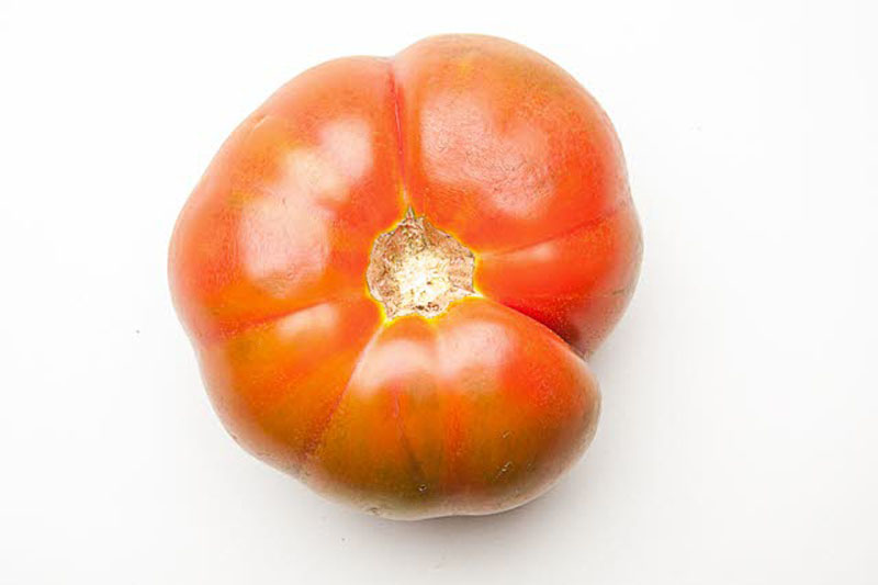 estilo, gourmet, tomates, tomatologia, cocina, tipos, xlsemanal