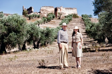 La aristocracia del aceite de oliva