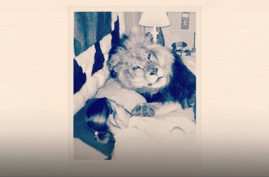 Melanie Griffith y los leones