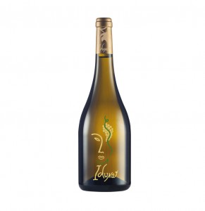 vino para brownie receta de martin berasategui