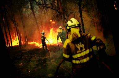 Incendios: ¿qué estamos haciendo mal?
