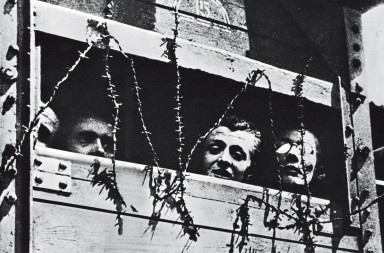 Yo sobreviví a Hitler de milagro