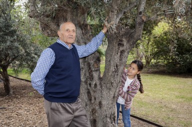 Actores por accidente