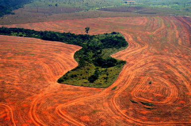 La herida abierta del Amazonas