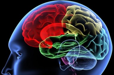 «Las pupilas bailan en el momento de la muerte»