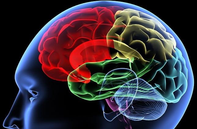 «Las pupilas bailan en el momento de la muerte» «Las pupilas bailan en el momento de la muerte»