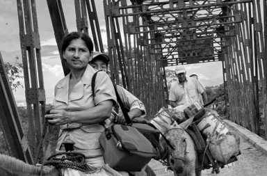 Colombia: en el avispero de las FARC