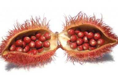 ¿Qué comeremos?: cosas que ni te imaginas…