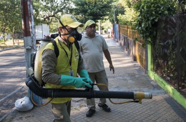 Alarma en Brasil: zika, un virus olímpico