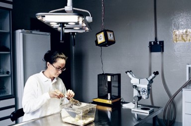 La píldora para no engordar    más cerca de lo que cree [La batalla millonaria por conseguirla}