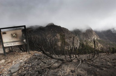 Incendios: ¿es que no hay forma de parar esto?