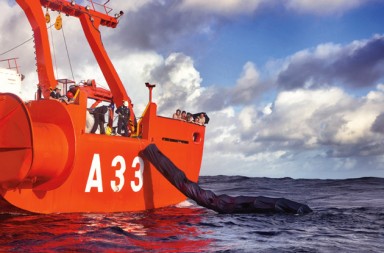 Los secretos del mar, al descubierto