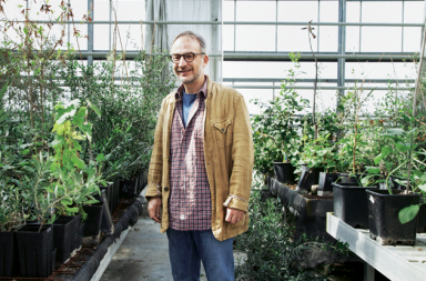 Stefano Mancuso: «Las plantas son capaces de pensar y son mucho más sensibles que los animales»
