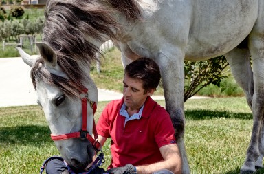 Hermoso de Mendoza: «Mis caballos son como yo: rebeldes y sin castrar»