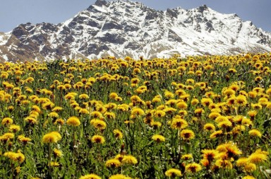 El búnker suizo de los bytes: aquí están todos los datos de los poderosos