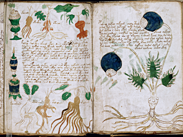 mundo - el códice voynich, el manuscrito más extraño del mundo Voynich-port