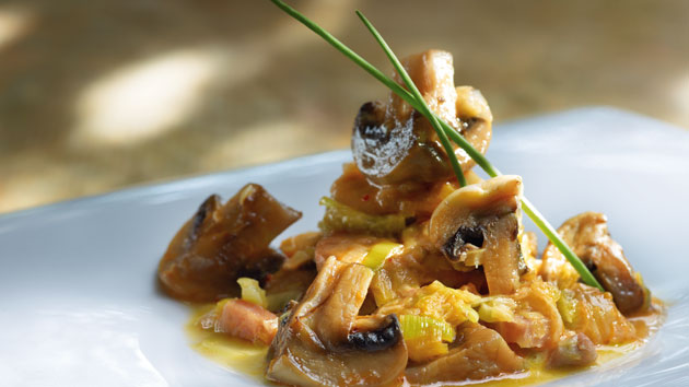 Fricasé Santi Santamaría