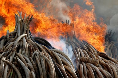 Una hoguera de 35 millones de euros