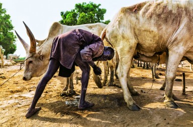 Otra forma de teñirse el pelo