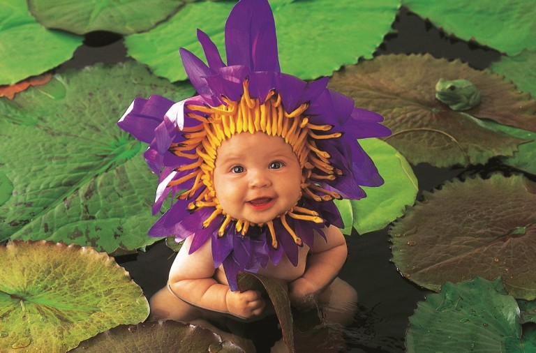 Anne Geddes El Arte De Retratar Bebes