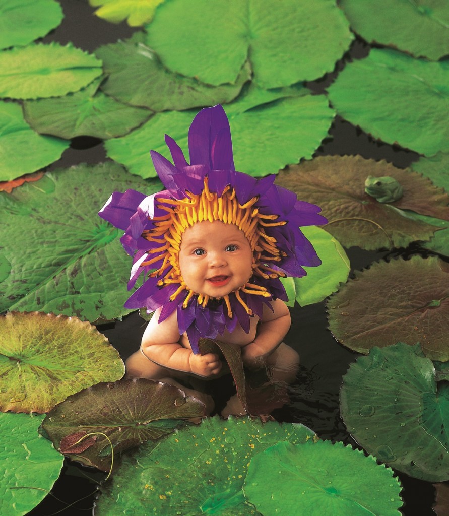 Anne Geddes El Arte De Retratar Bebes