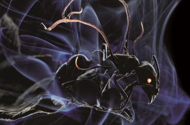 Las criaturas más peligrosas