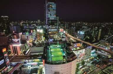 Así son los tejados de ahora