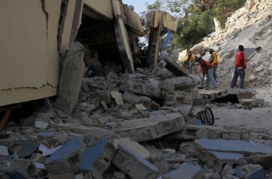 «Turco», un perro abandonado: el otro héroe de Haití