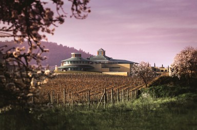 Museo Vivanco: más que vino