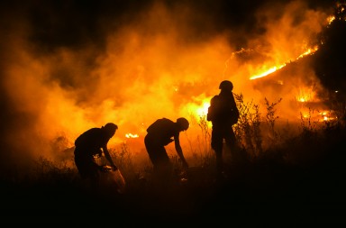 Ucrania, la guerra olvidada