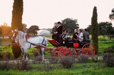 Alberto de Mónaco: un día en Toledo con el príncipe ecológico