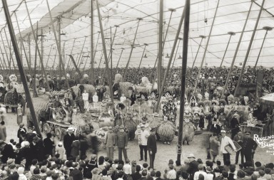 El espectáculo ya no puede continuar