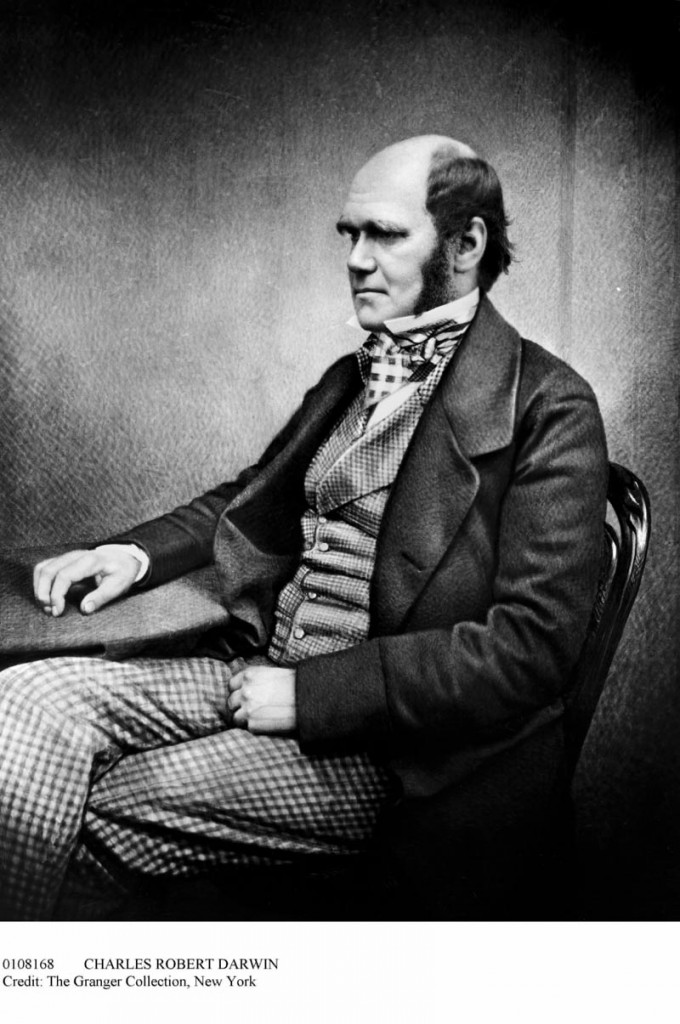 conocer, historia, Beagle, Darwin 