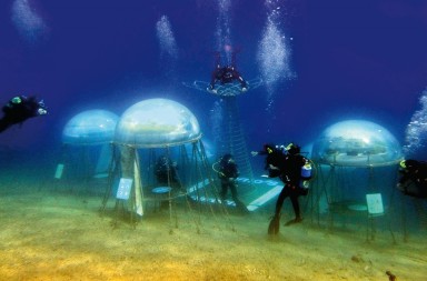 Cosecha de tomates en el fondo del mar