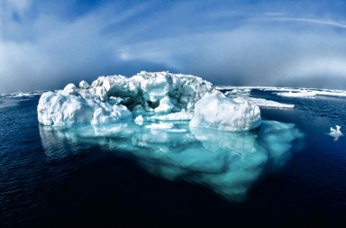 Un ‘enjambre’ de icebergs desvía el tráfico marítimo