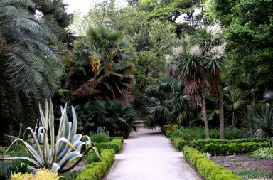 Real Jardín Botánico, el jardín de los mil y un tesoros
