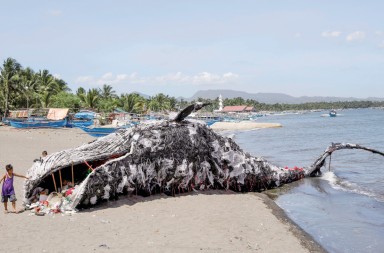 Esta ballena está empachada de plástico