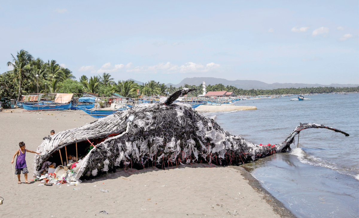 Esta ballena está empachada de plástico