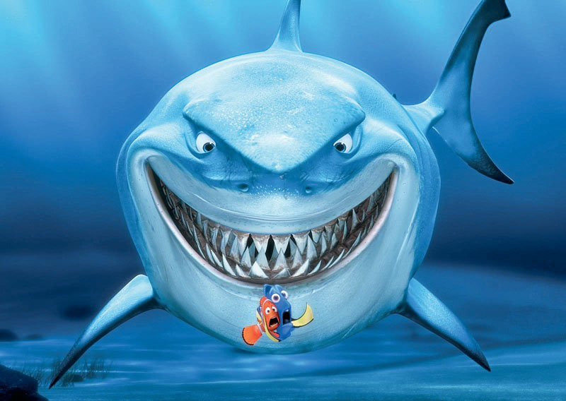 conocer, naturaleza, tiburon limon, bruce buscando a nemo, xlsemanal