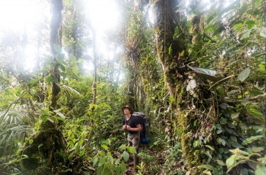 En busca de las 25 especies perdidas